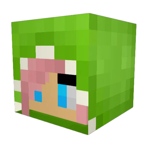 STARSZASIOSTRA Minecraft avatar head, 3D render