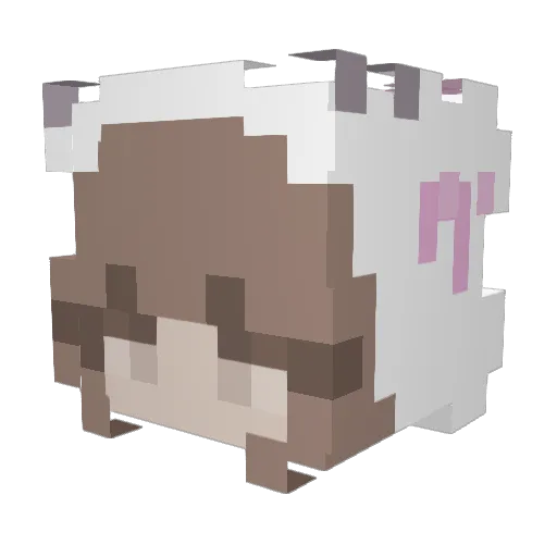 STAY4everSKZ Minecraft avatar head, 3D render