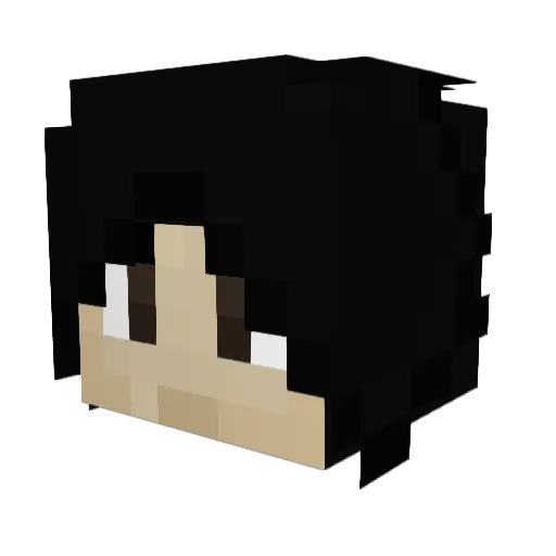 STBanCraft Minecraft avatar head, 3D render