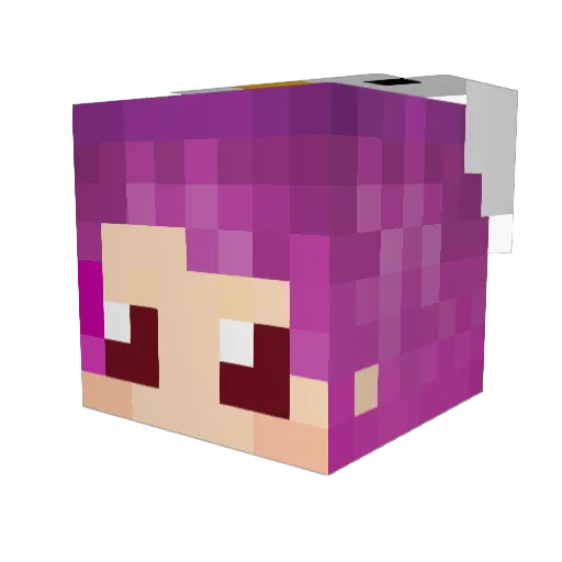 STChips Minecraft avatar head, 3D render