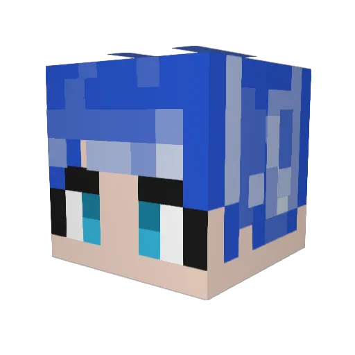 STCrazyCat Minecraft avatar head, 3D render