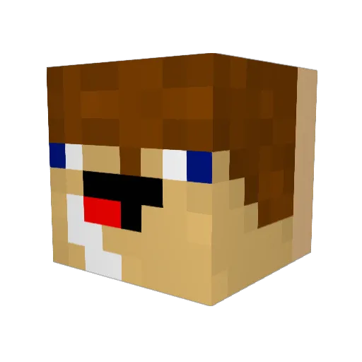 STDs4YouAnd4Me Minecraft avatar head, 3D render