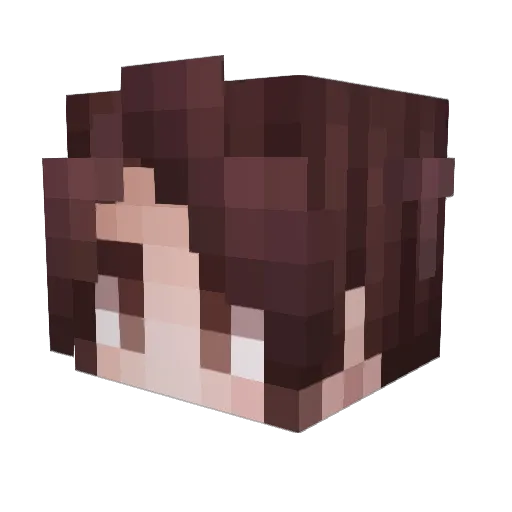 STE4DY25 Minecraft avatar head, 3D render