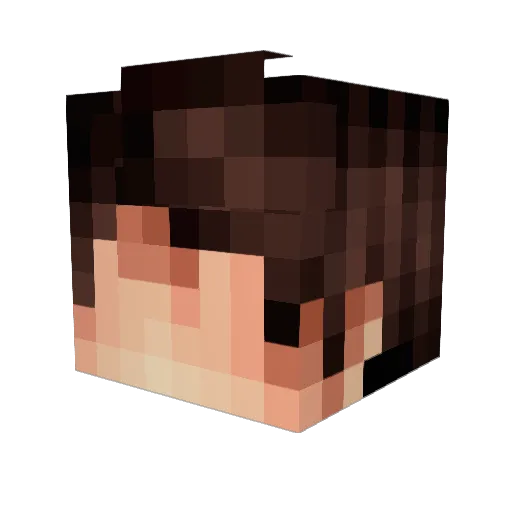 STEEEINZZZZZPT Minecraft avatar head, 3D render