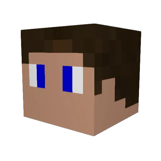 STEEVE1414 Minecraft avatar head, 3D render