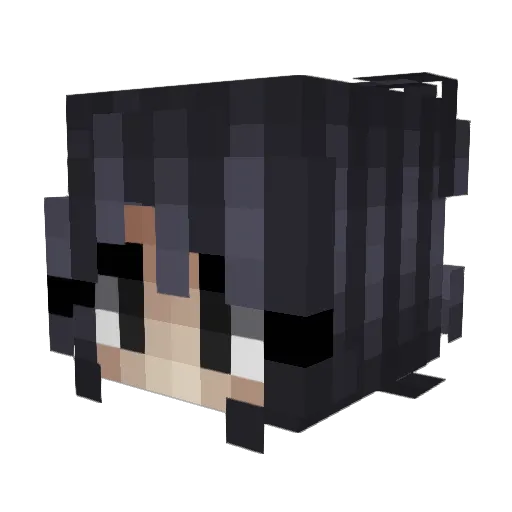 STEPMOMCHRISTMAS Minecraft avatar head, 3D render