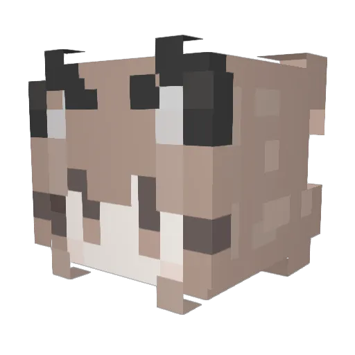 STHY___ Minecraft avatar head, 3D render