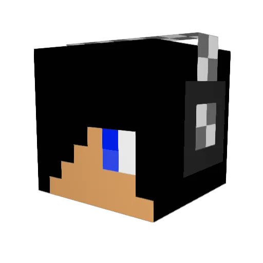 STIXs_ Minecraft avatar head, 3D render