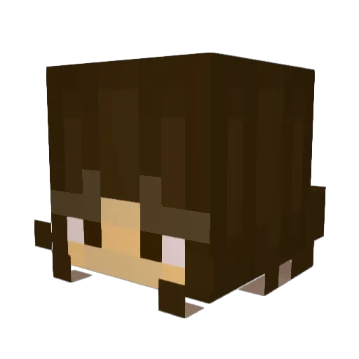 STKBlesgraaf24 Minecraft avatar head, 3D render