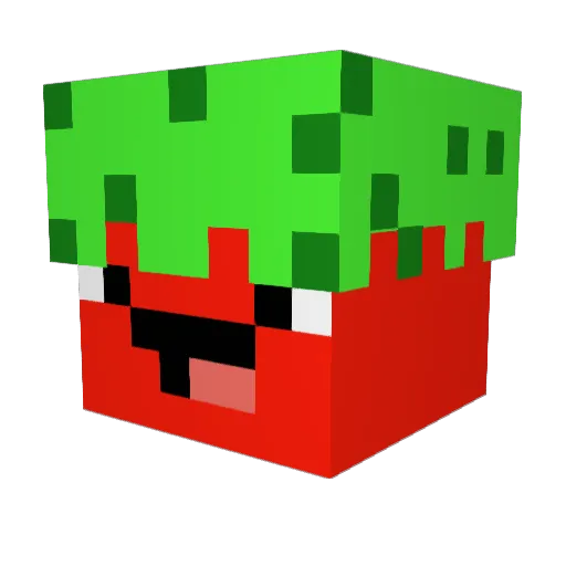 STKMC Minecraft avatar head, 3D render