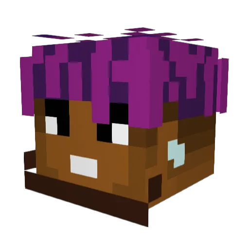 STLTiger6 Minecraft avatar head, 3D render