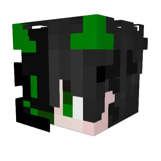 STM_toxic Minecraft avatar head, 3D render
