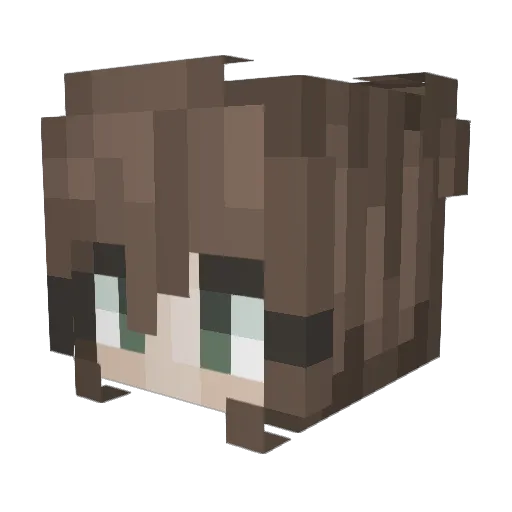 STONKSERSBOTMAN4 Minecraft avatar head, 3D render