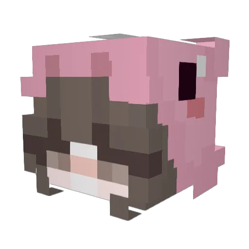 STOPYOON Minecraft avatar head, 3D render