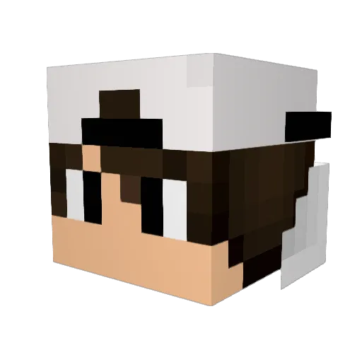 STOPxx Minecraft avatar head, 3D render