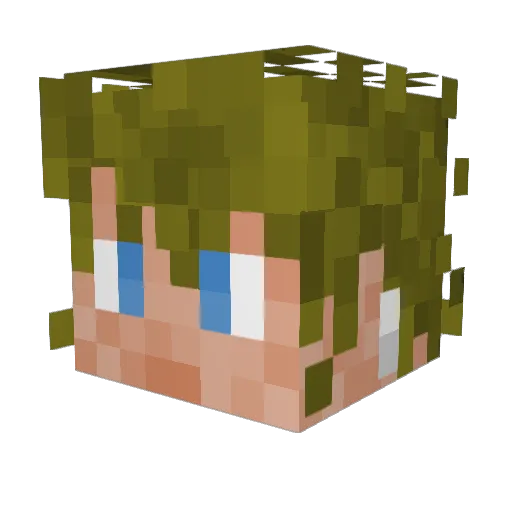STORM_GAMER17 Minecraft avatar head, 3D render