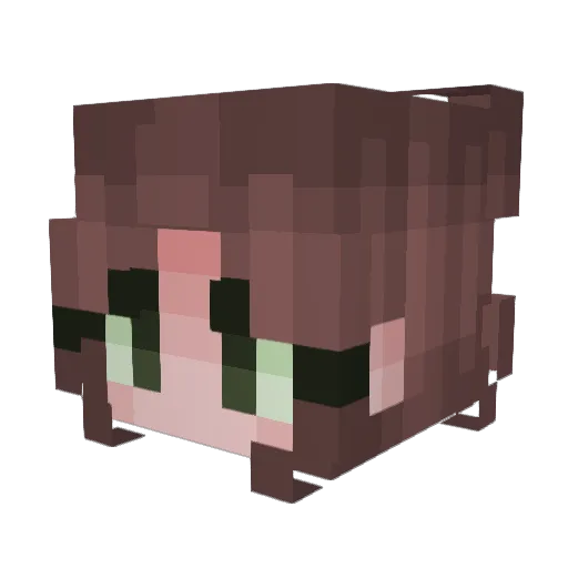 STR0DE Minecraft avatar head, 3D render