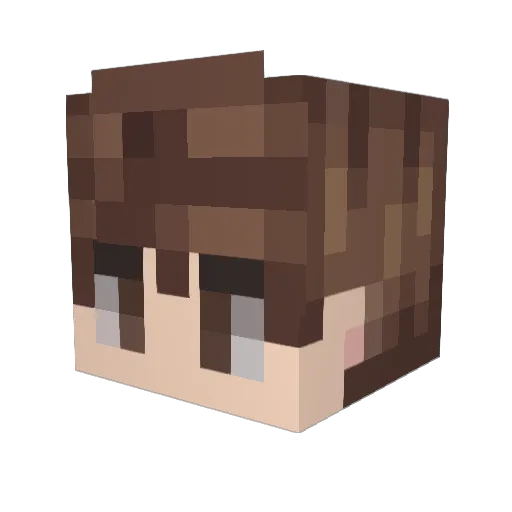 STRONGF4RMER Minecraft avatar head, 3D render