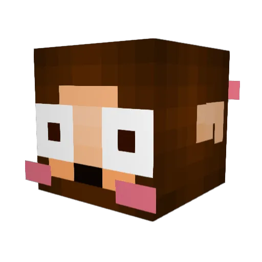 STRUK9 Minecraft avatar head, 3D render