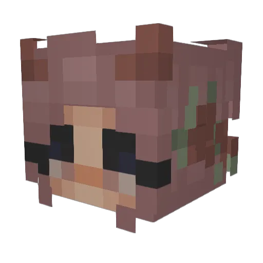 STRXWBXRRlES Minecraft avatar head, 3D render