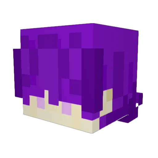 STR_frankie Minecraft avatar head, 3D render