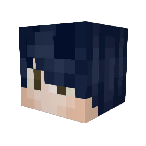 STS_128 Minecraft avatar head, 3D render