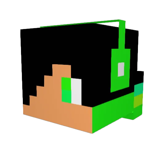 STUEFFEL Minecraft avatar head, 3D render