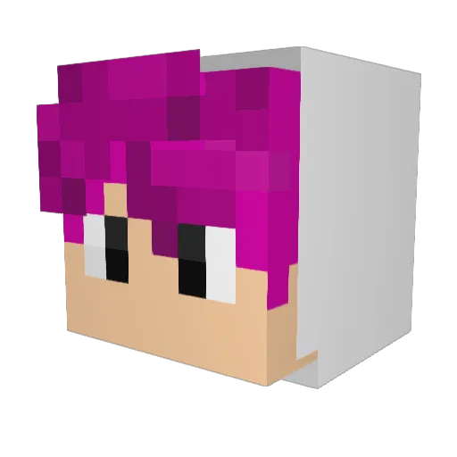 STUNTDEVIL100 Minecraft avatar head, 3D render