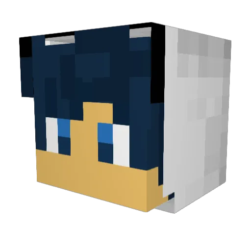 STWD4 Minecraft avatar head, 3D render