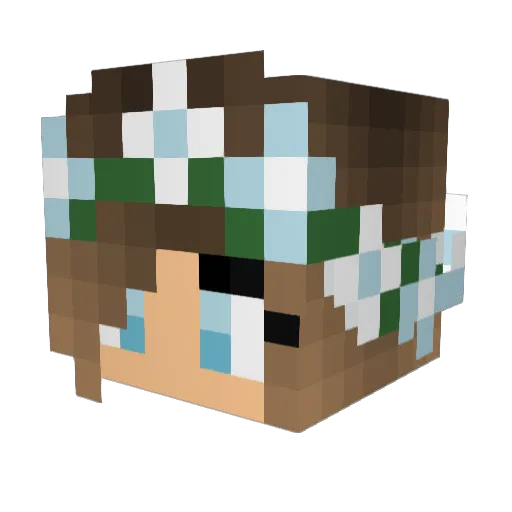 STaNx20 Minecraft avatar head, 3D render