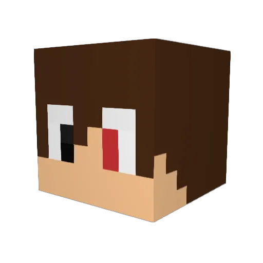 STanleyeunnnnnn Minecraft avatar head, 3D render