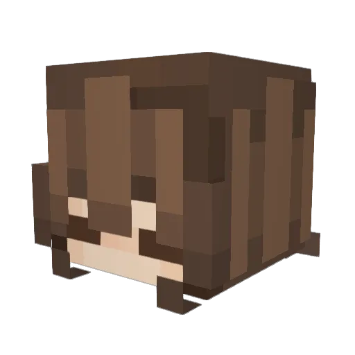 STierGr3g Minecraft avatar head, 3D render