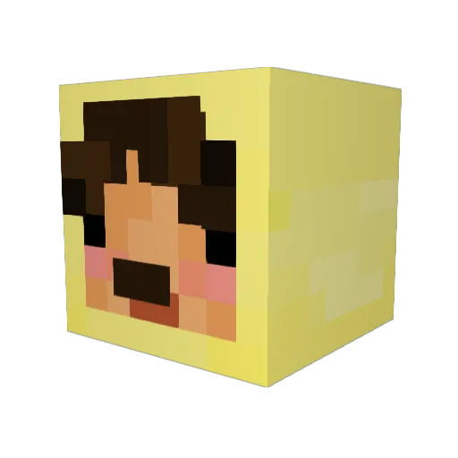 STierQuacks Minecraft avatar head, 3D render