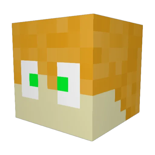 SUBTOJAKUB Minecraft avatar head, 3D render