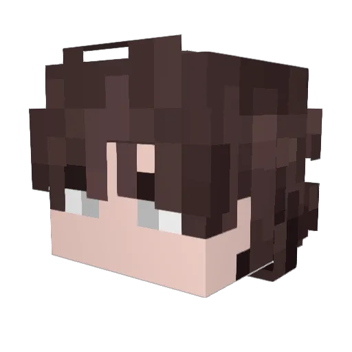 SUBZERO201028 Minecraft avatar head, 3D render