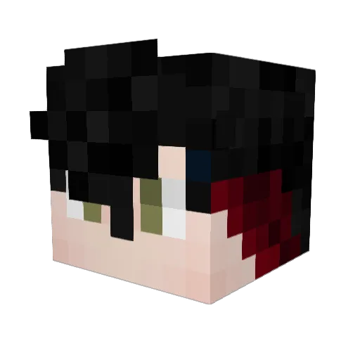 SUB_TO_TECHN0 Minecraft avatar head, 3D render