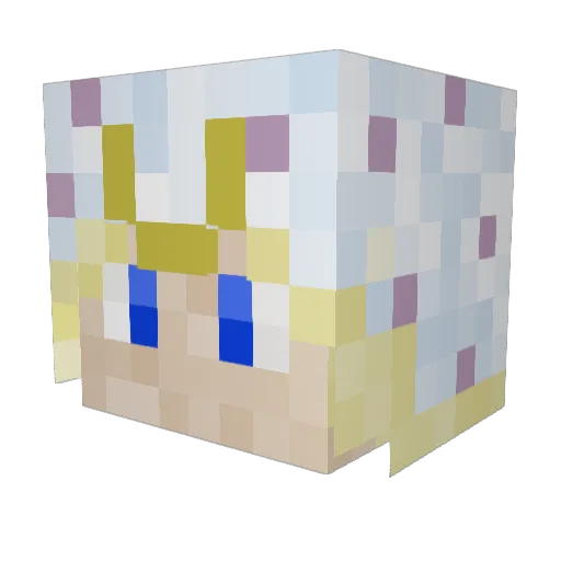 SUCCULENTMEAT Minecraft avatar head, 3D render