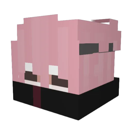 SUCNY Minecraft avatar head, 3D render