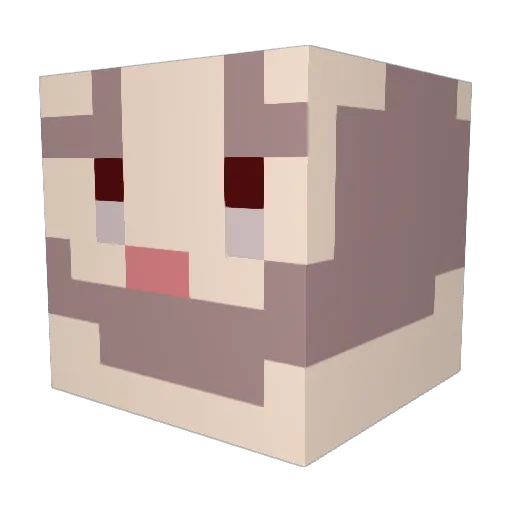 SUDS_N_DUDS Minecraft avatar head, 3D render