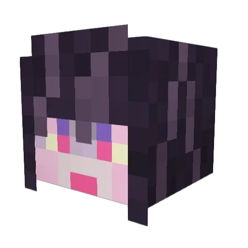 SUGARBOG Minecraft avatar head, 3D render