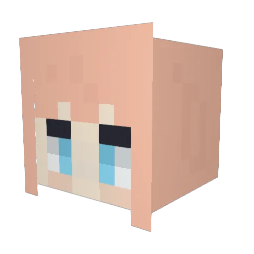 SUHAM Minecraft avatar head, 3D render