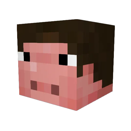 SUHHY_ Minecraft avatar head, 3D render