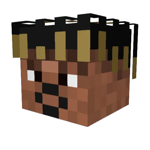 SUIJIN8 Minecraft avatar head, 3D render