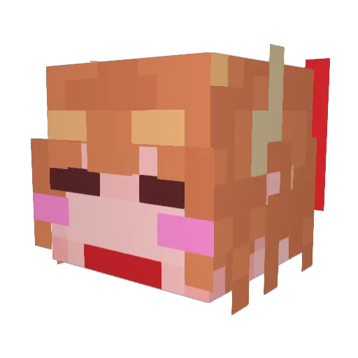 SUIKA10 Minecraft avatar head, 3D render