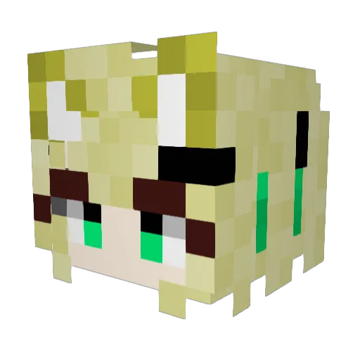 SULFUR__CUBE Minecraft avatar head, 3D render