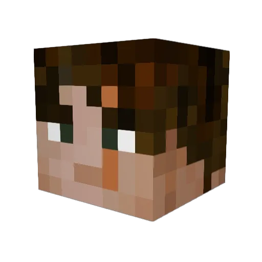 SUNBROSOLAIRE69 Minecraft avatar head, 3D render