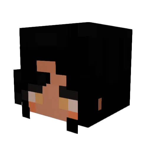 SUNGxSUNG Minecraft avatar head, 3D render