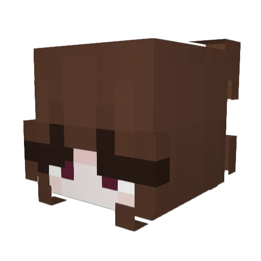 SUODELL Minecraft avatar head, 3D render