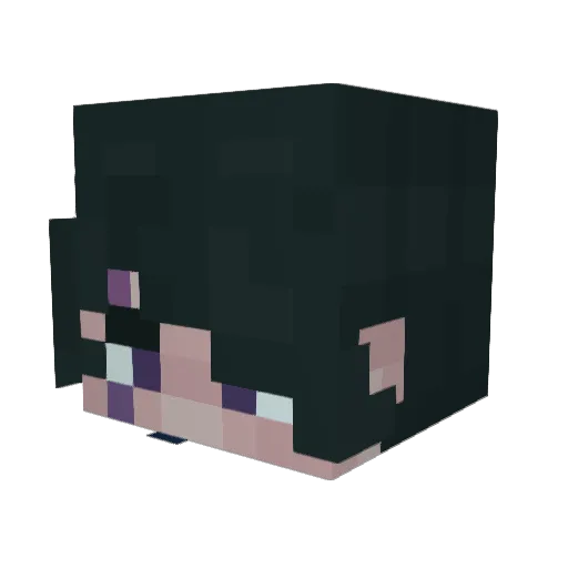 SUPAHOTT Minecraft avatar head, 3D render