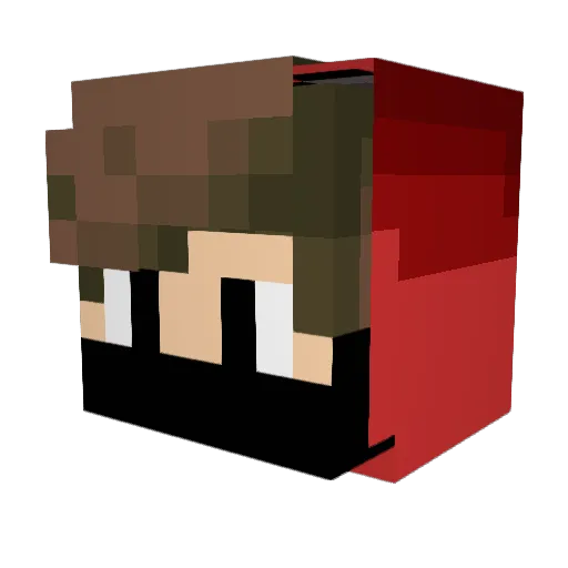 SUPERBEE15 Minecraft avatar head, 3D render